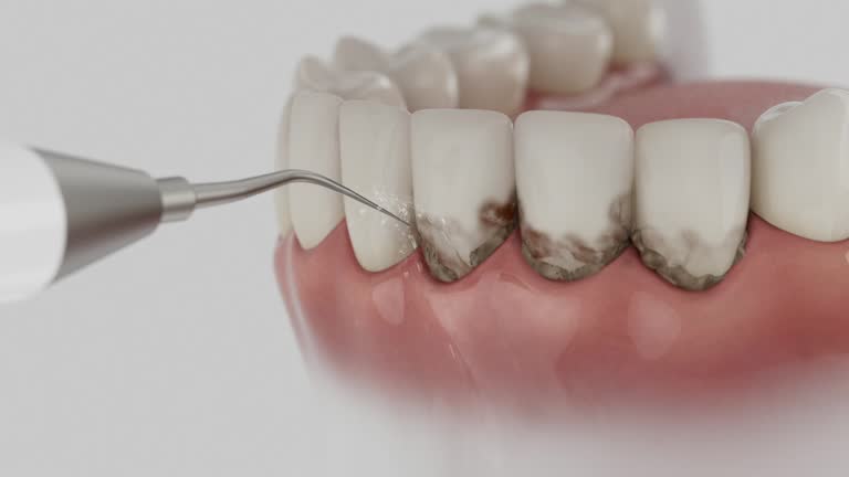 Reliable Dental contractor in Williston, FL by Dentist Open Now